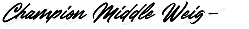 Champion Middle Weig字体转换